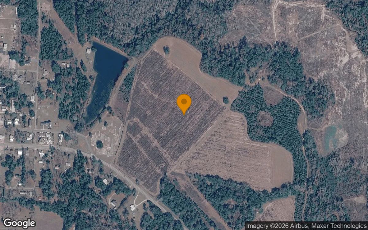 74.44 Acres in Morgan - Calhoun County, GA - Main image
