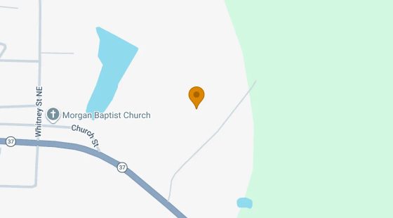 74.44 Acres in Morgan - Calhoun County, GA in Calhoun County, GA