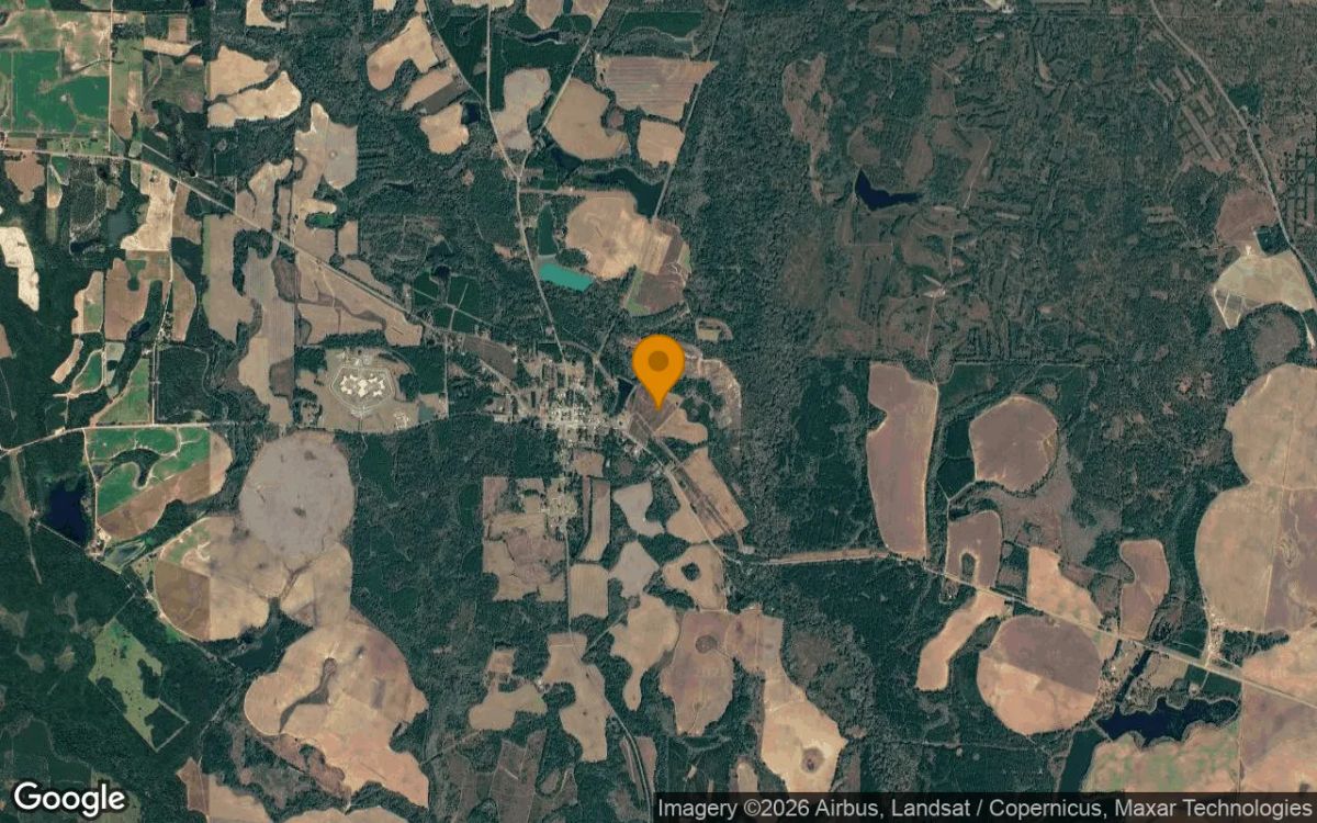 74.44 Acres in Morgan - Calhoun County, GA - Image 3