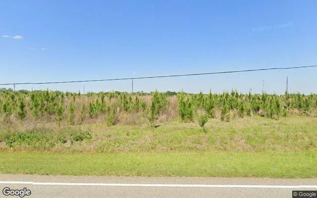 74.44 Acres in Morgan - Calhoun County, GA - Image 4