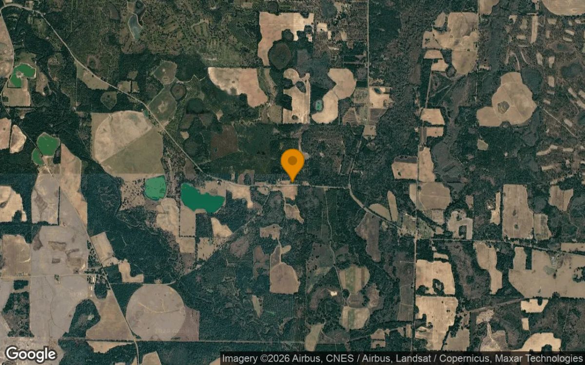 1.5 Acres in Leary - Baker County, GA - Image 3