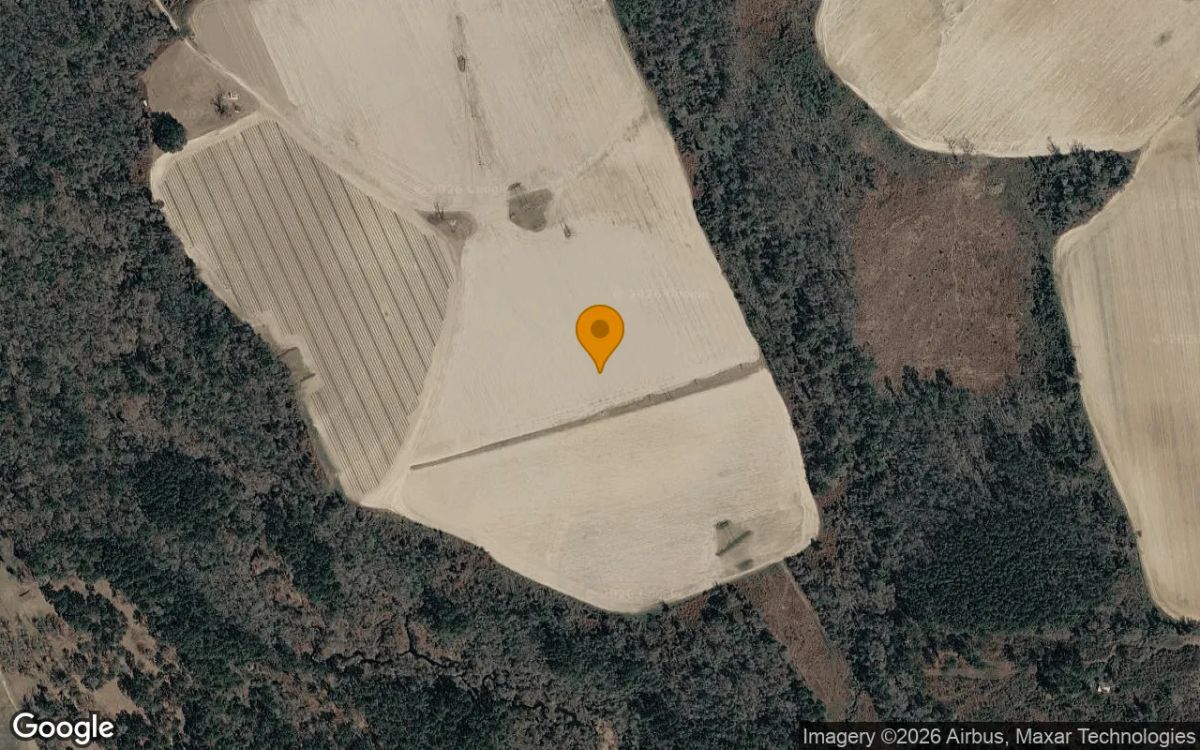 124.83 Acres in Adel - Cook County, GA - Main image