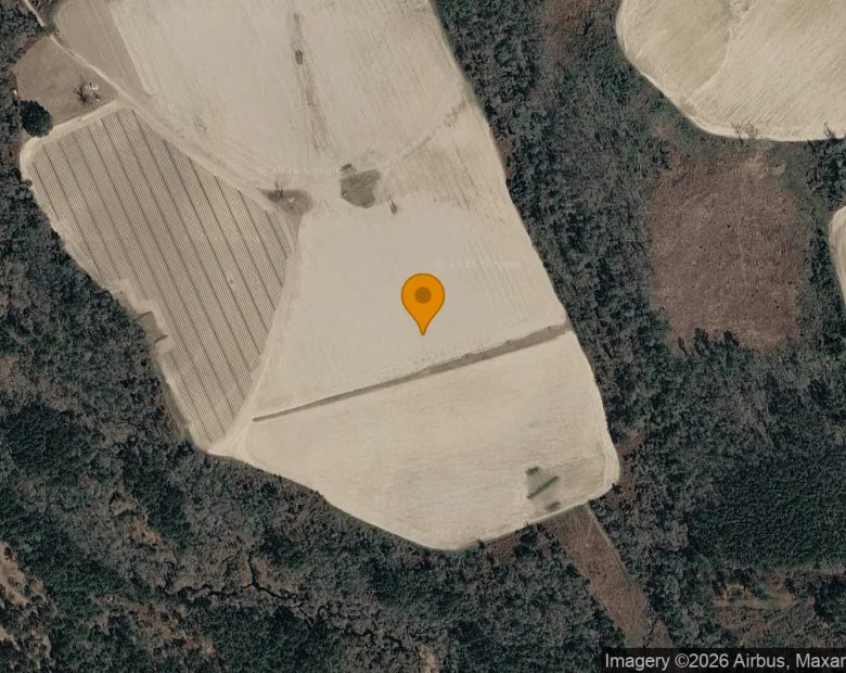 124.83 Acres in Adel - Cook County, GA in Cook County, GA