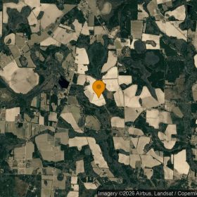 124.83 Acres in Adel - Cook County, GA in Cook County, GA