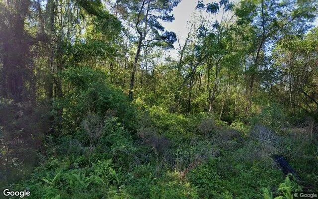 124.83 Acres in Adel - Cook County, GA - Image 4