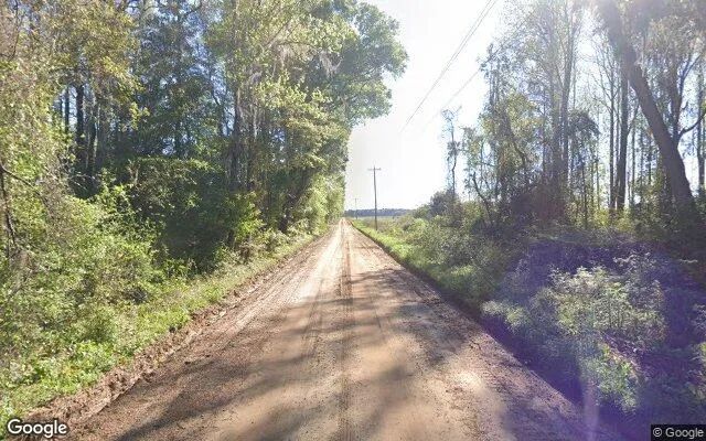 Decorative background for 124.83 Acres in Adel - Cook County, GA image 5