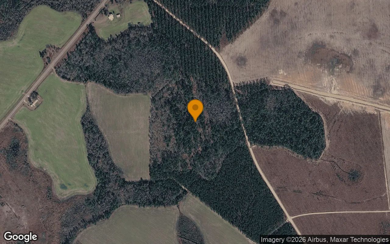 35.54 Acres in Pearson - Atkinson County, GA in Atkinson County, GA