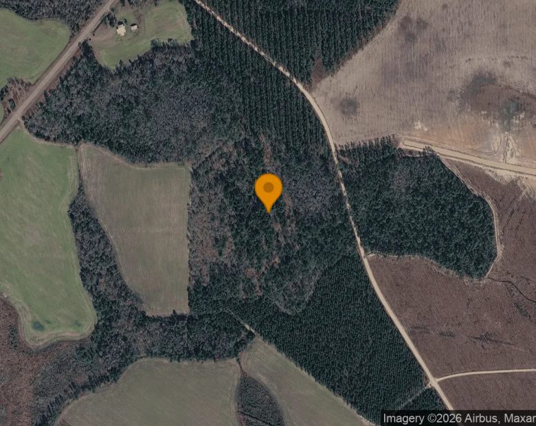 35.54 Acres in Pearson - Atkinson County, GA in Atkinson County, GA