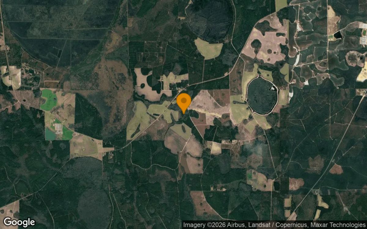 35.54 Acres in Pearson - Atkinson County, GA - Image 3