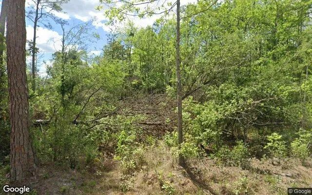 35.54 Acres in Pearson - Atkinson County, GA in Atkinson County, GA