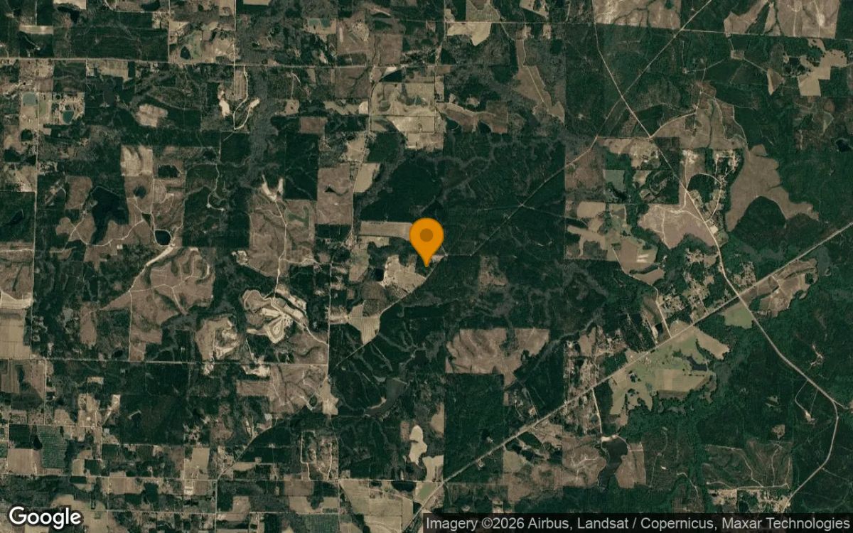 3.49 Acres in Fitzgerald - Ben Hill County, GA - Image 3