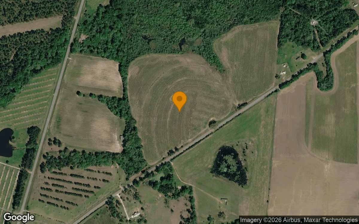 75.04 Acres in Quitman - Brooks County, GA - Main image