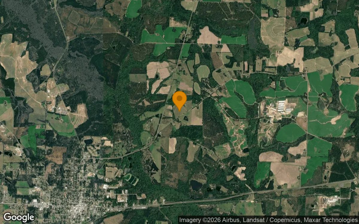 75.04 Acres in Quitman - Brooks County, GA - Image 3
