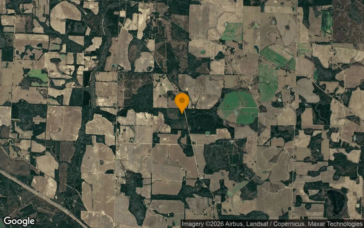 15.02 Acres in Jakin - Early County, GA - Image 3