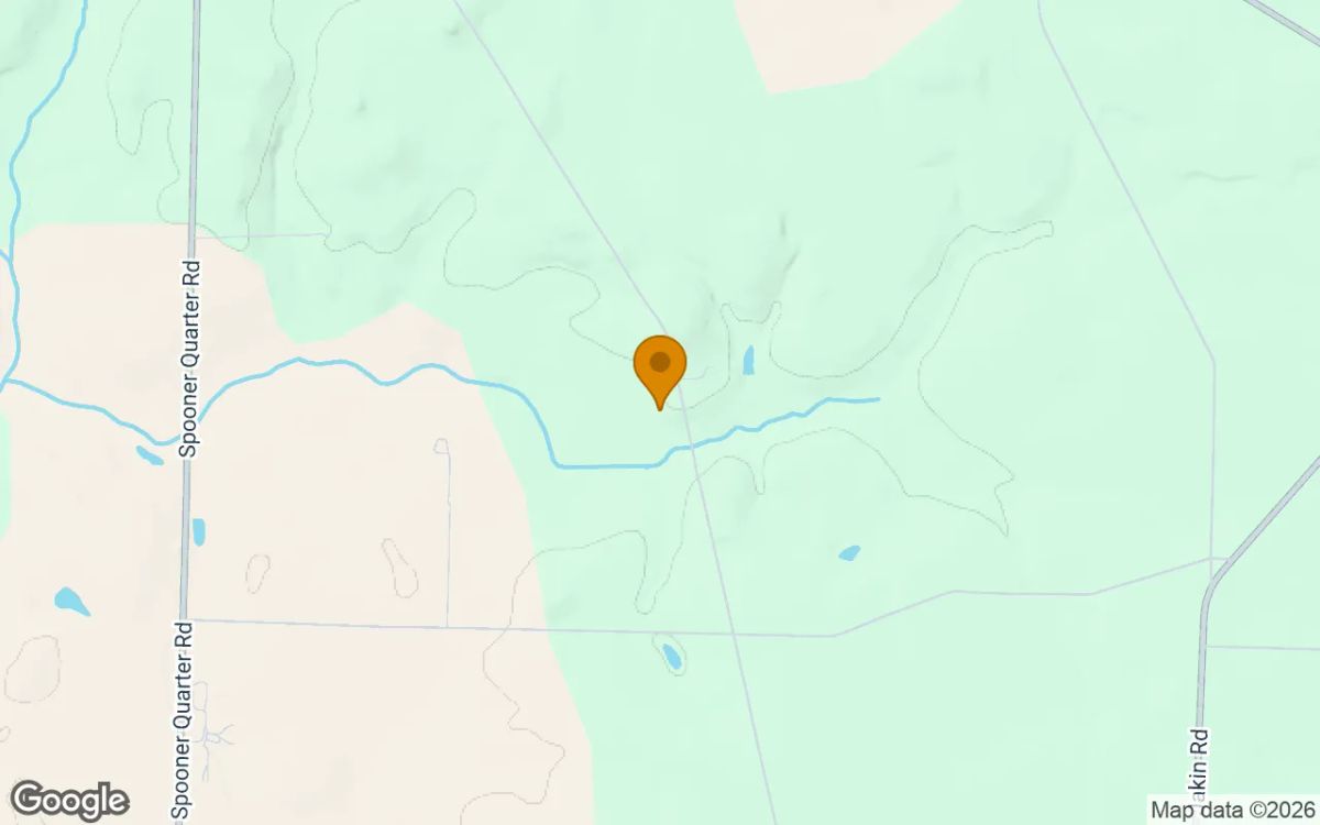 Decorative background for 15.02 Acres in Jakin - Early County, GA image 5