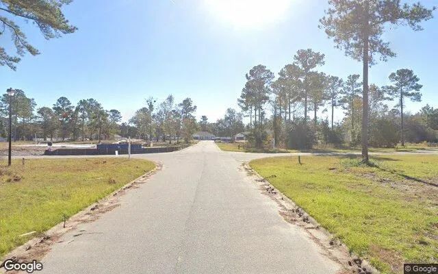 Decorative background for 0.55 Acres in Townsend - McIntosh County, GA image 5