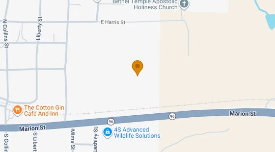 34.51 Acres in Reynolds - Taylor County, GA in Taylor County, GA