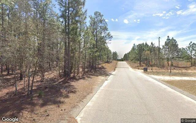 Decorative background for 0.1 Acres in Blythe - Richmond County, GA image 5