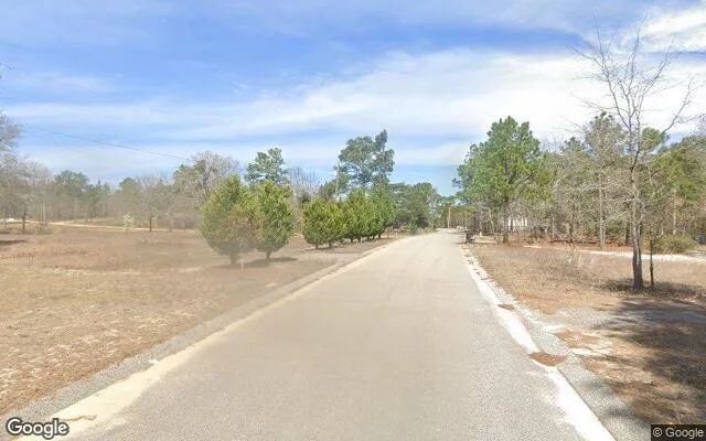 Decorative background for 0.1 Acres in Blythe - Richmond County, GA image 6