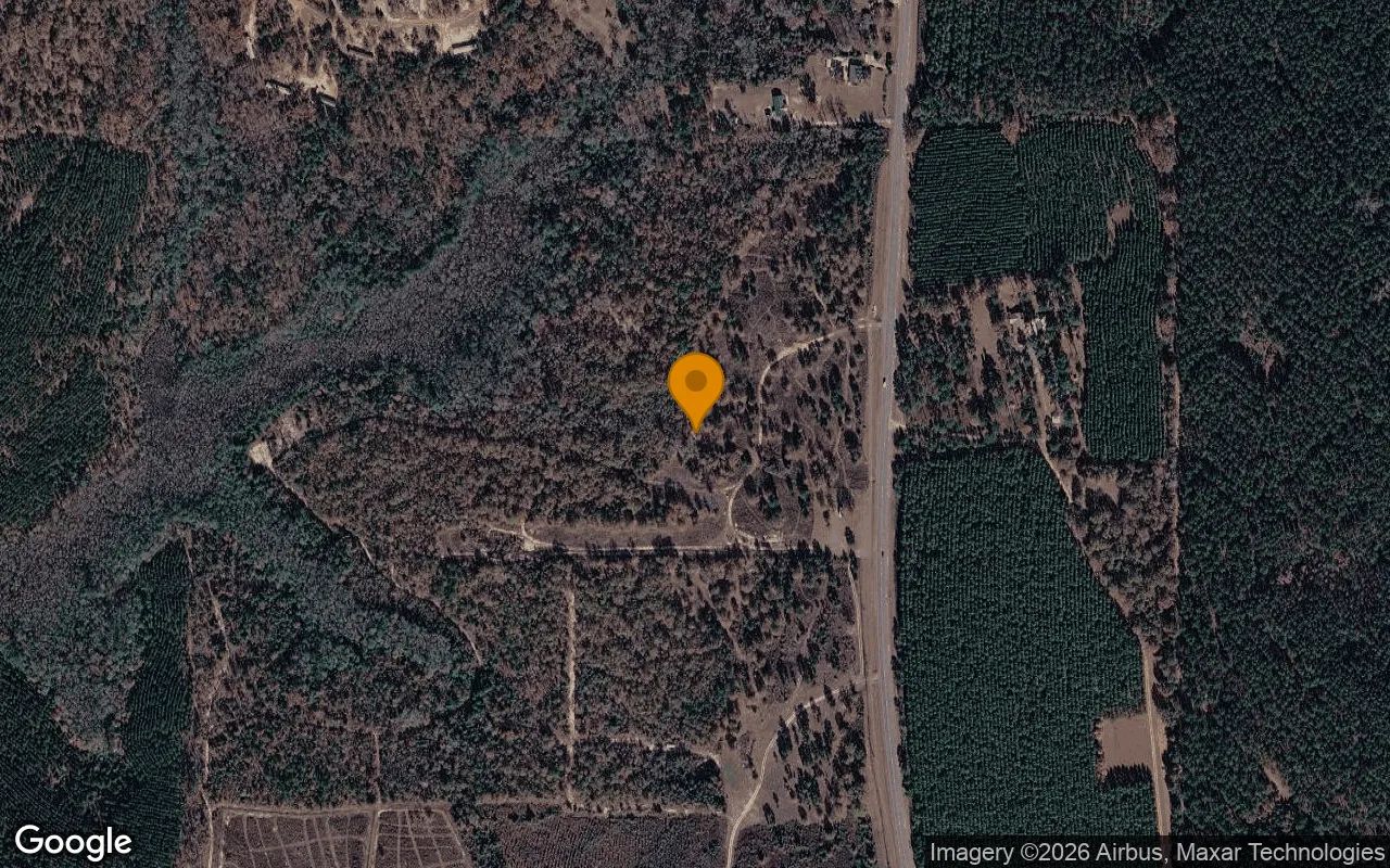 15 Acres in Buena Vista - Marion County, GA in Marion County, GA