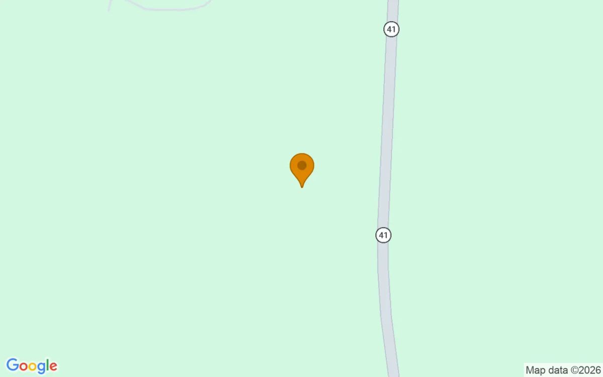 15 Acres in Buena Vista - Marion County, GA - Image 2