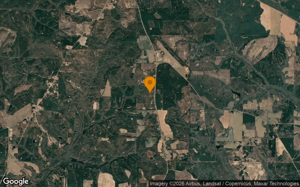 15 Acres in Buena Vista - Marion County, GA - Image 3