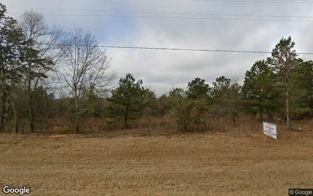 15 Acres in Buena Vista - Marion County, GA - Image 4