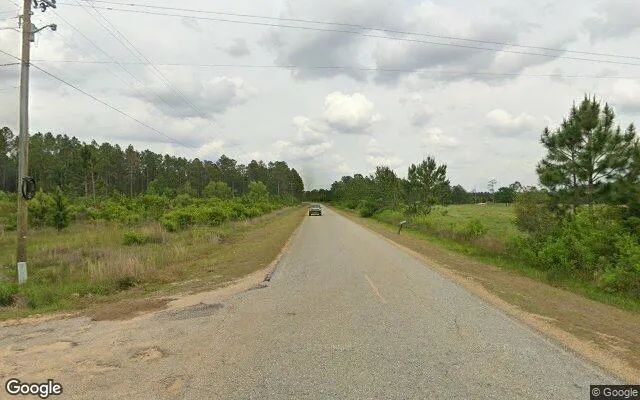 Decorative background for 0.91 Acres in Wray - Irwin County, GA image 6