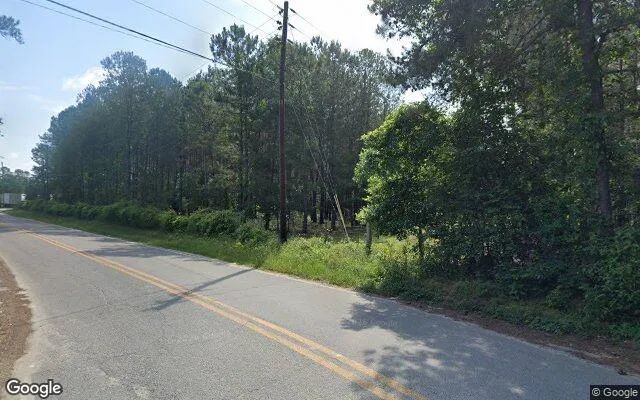 Decorative background for 74.56 Acres in Gordon - Wilkinson County, GA image 5