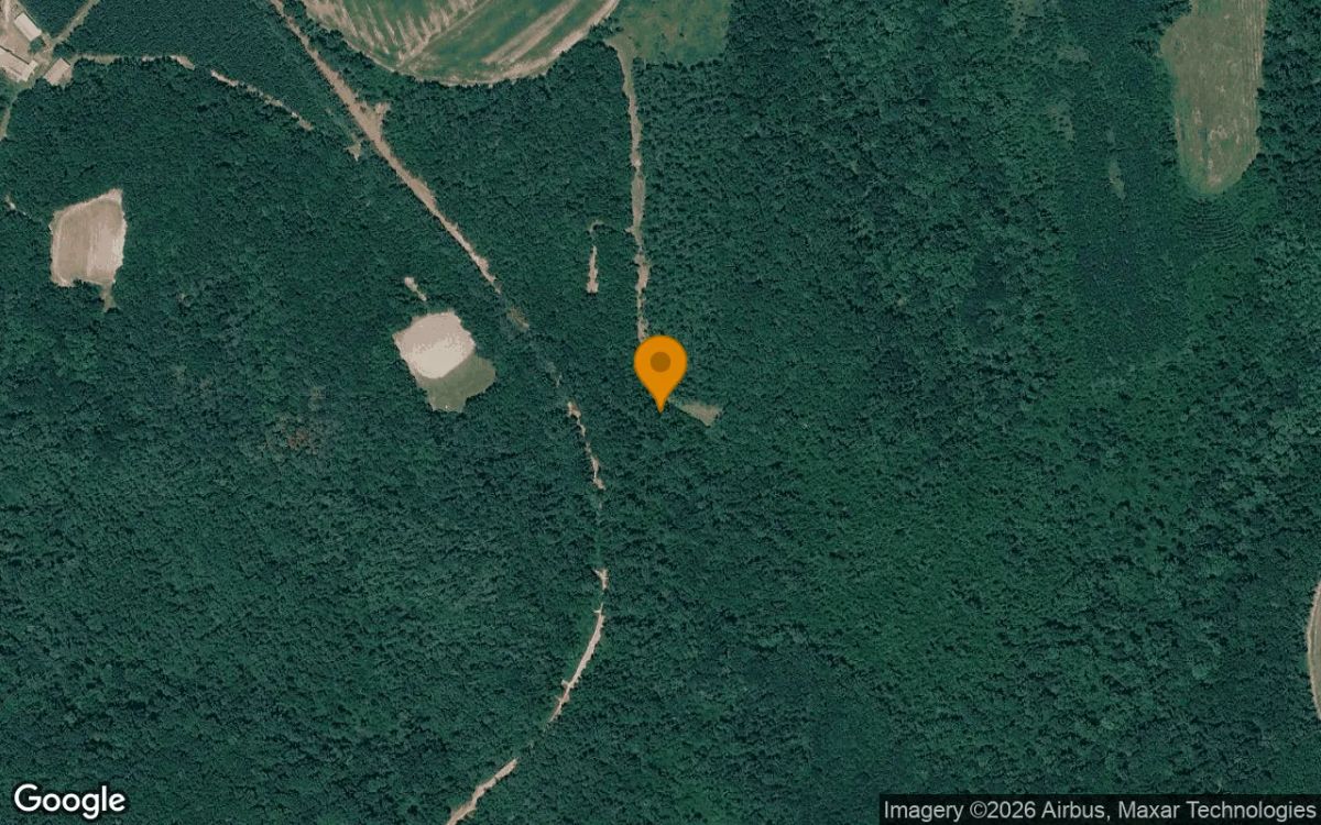 34.79 Acres in Cuthbert - Randolph County, GA - Main image