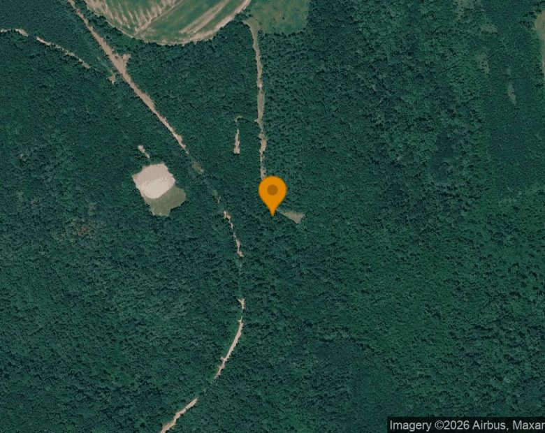 34.79 Acres in Cuthbert - Randolph County, GA in Randolph County, GA