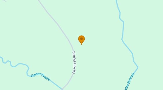 34.79 Acres in Cuthbert - Randolph County, GA in Randolph County, GA