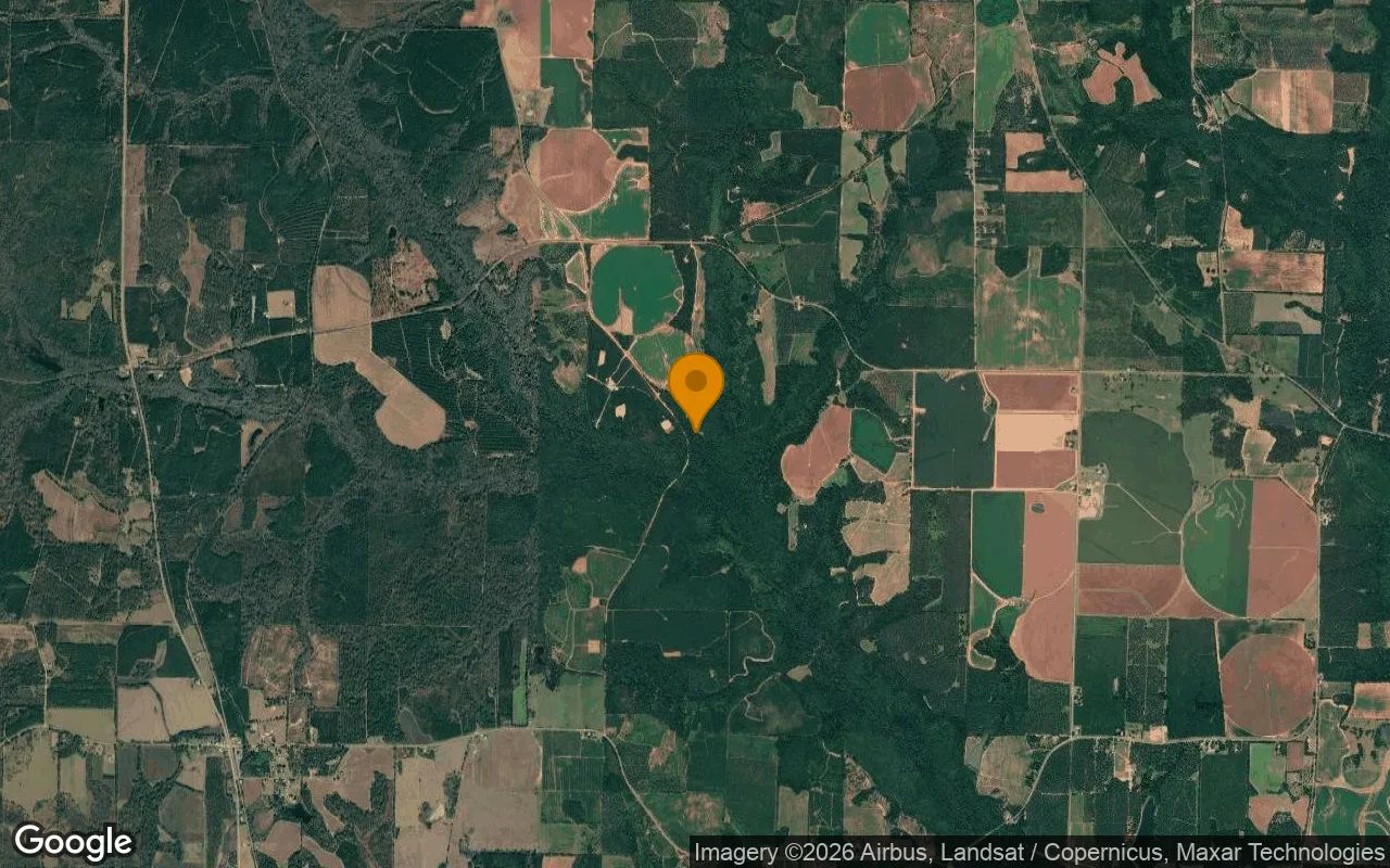 34.79 Acres in Cuthbert - Randolph County, GA in Randolph County, GA