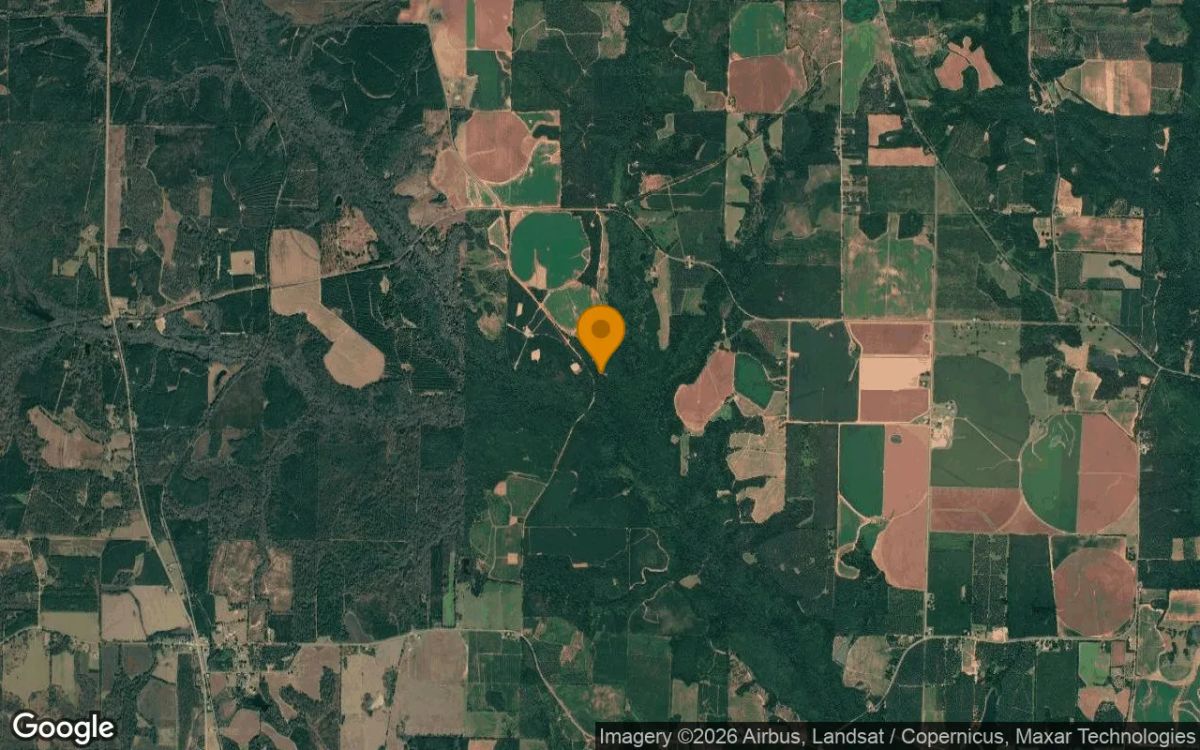 34.79 Acres in Cuthbert - Randolph County, GA - Image 3