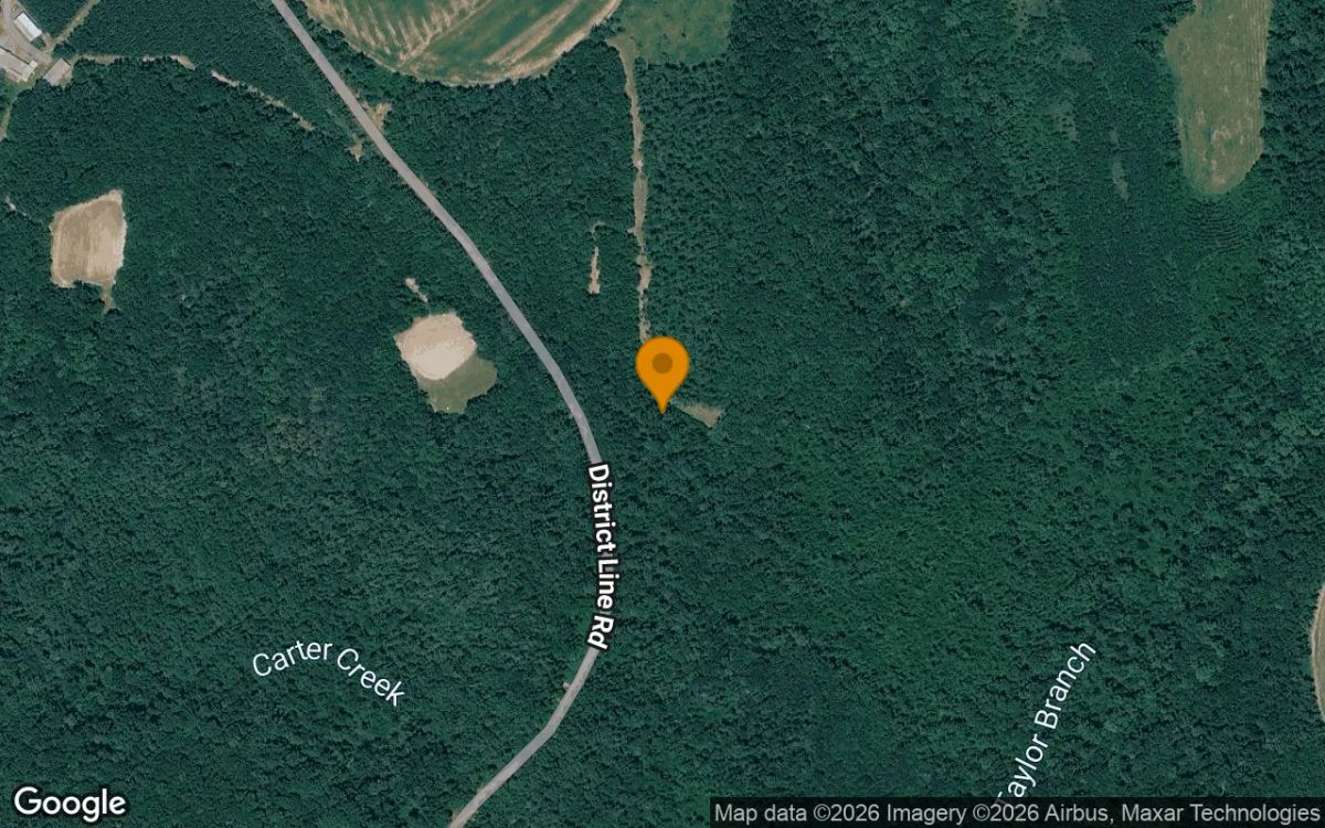 Decorative background for 34.79 Acres in Cuthbert - Randolph County, GA image 6
