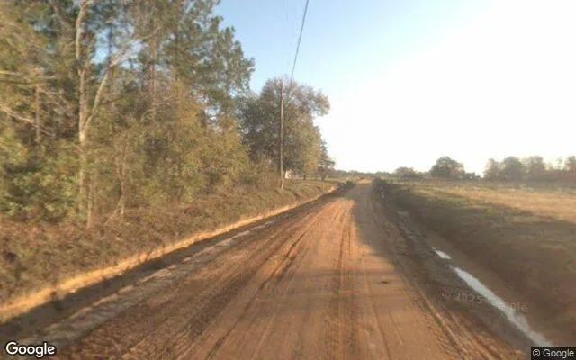 Decorative background for 0.72 Acres in Sale City - Mitchell County, GA image 5