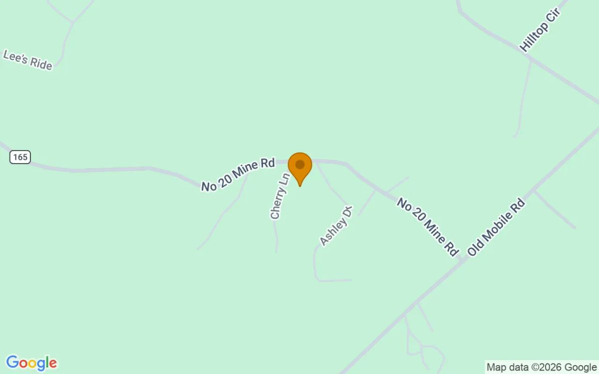 0.68 Acres in Mc Caysville - Fannin County, GA - Image 2