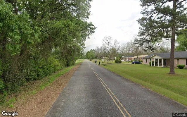 Decorative background for 0.55 Acres in Albany - Dougherty County, GA image 5