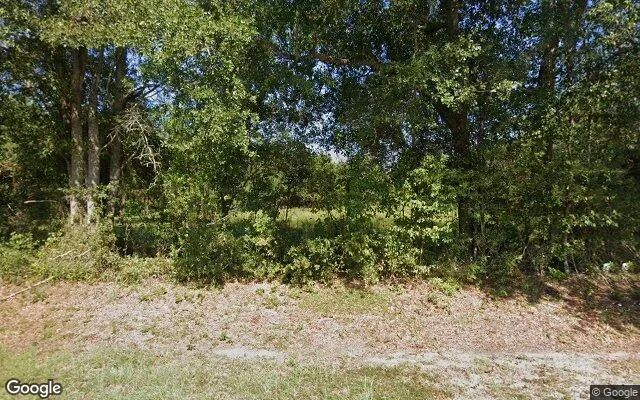 1.5 Acres in Odum - Wayne County, GA - Image 4