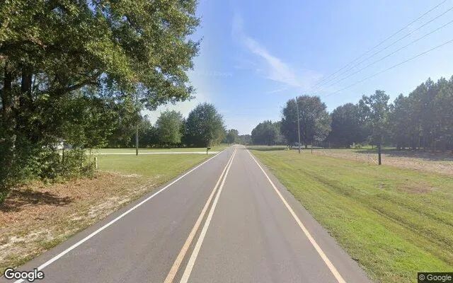 Decorative background for 1.5 Acres in Odum - Wayne County, GA image 6