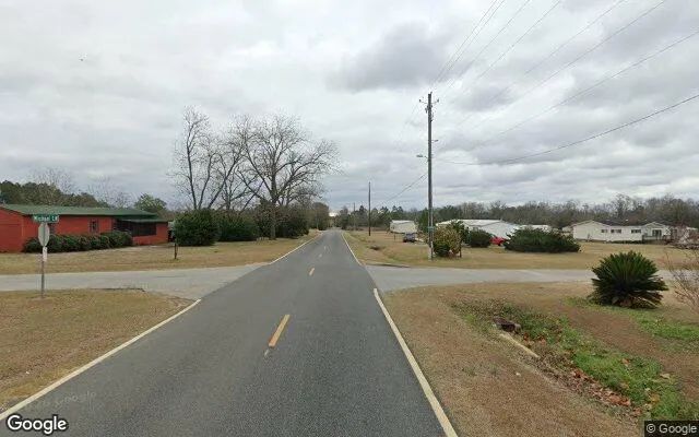 Decorative background for 0.55 Acres in Sumner - Worth County, GA image 5