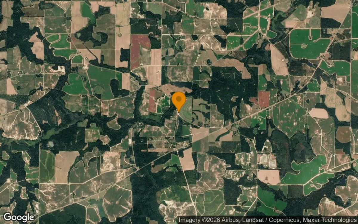 0.35 Acres in Unadilla - Dooly County, GA - Image 3