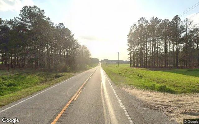 Decorative background for 0.35 Acres in Unadilla - Dooly County, GA image 5