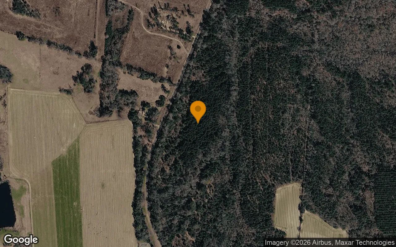 34.99 Acres in Ocilla - Irwin County, GA in Irwin County, GA