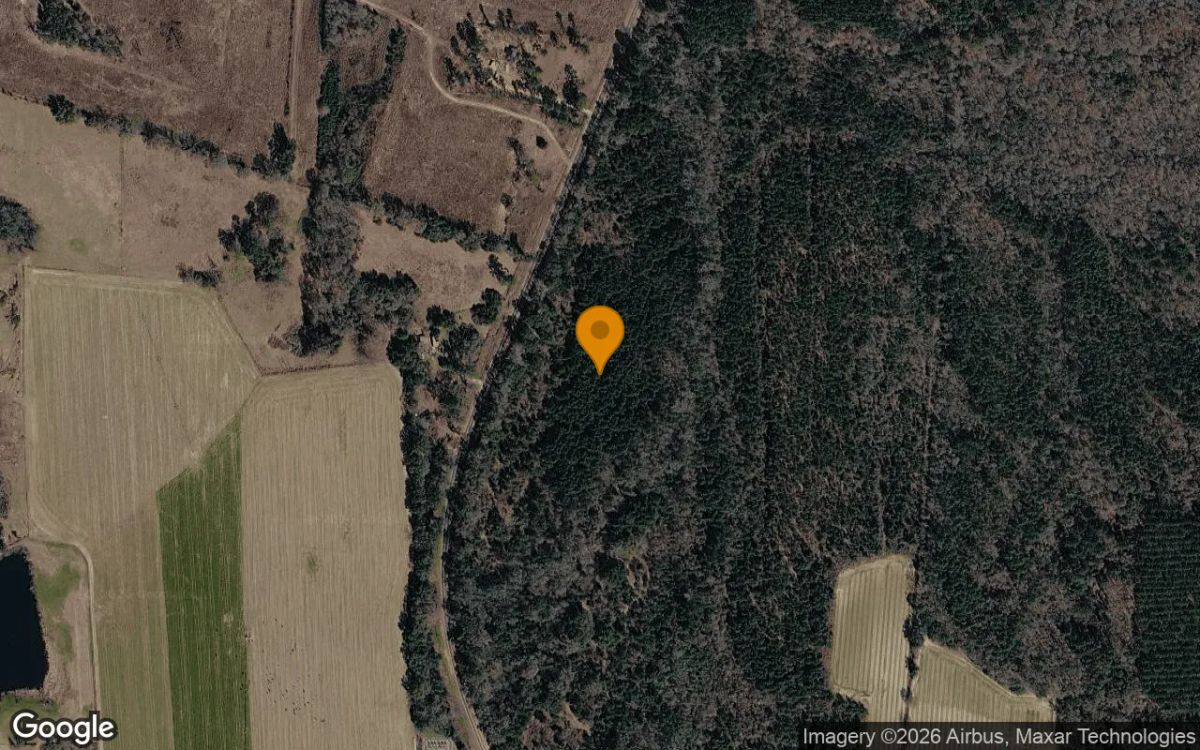 34.99 Acres in Ocilla - Irwin County, GA - Main image