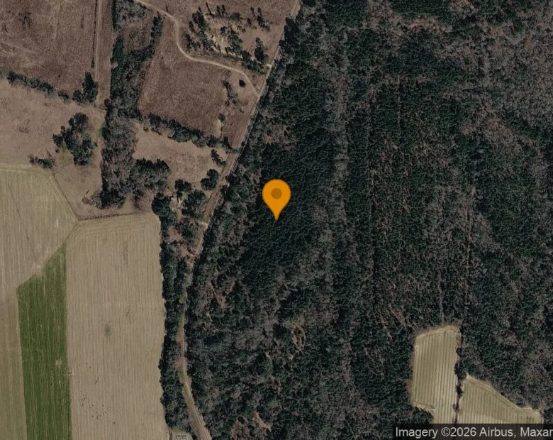 34.99 Acres in Ocilla - Irwin County, GA in Irwin County, GA