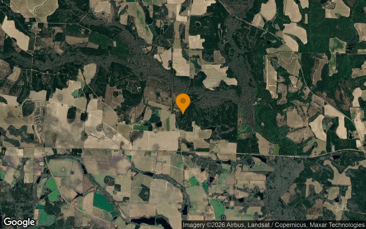 34.99 Acres in Ocilla - Irwin County, GA in Irwin County, GA