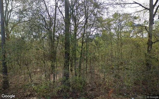 34.99 Acres in Ocilla - Irwin County, GA - Image 4