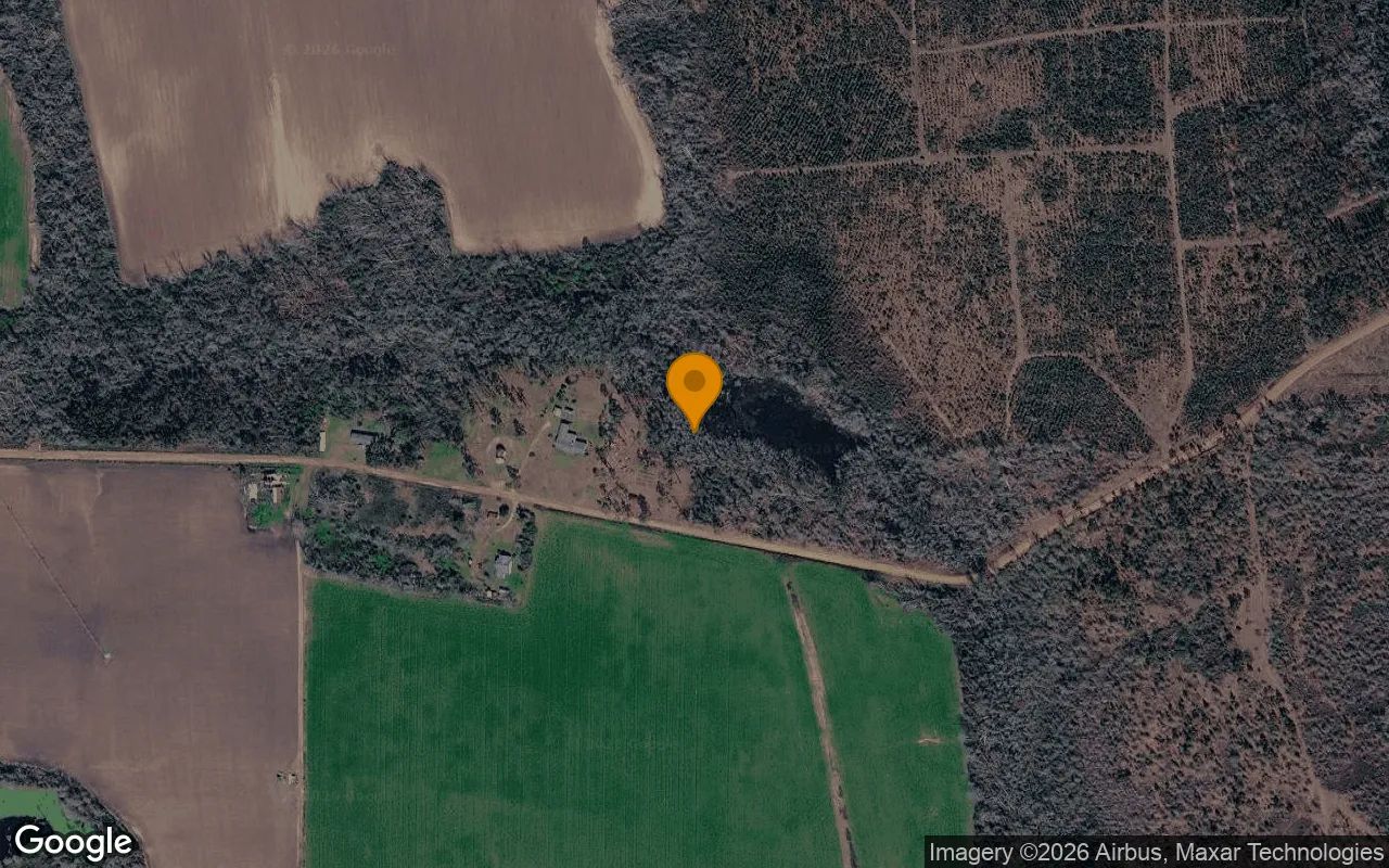 0.33 Acres in Ambrose - Coffee County, GA in Coffee County, GA