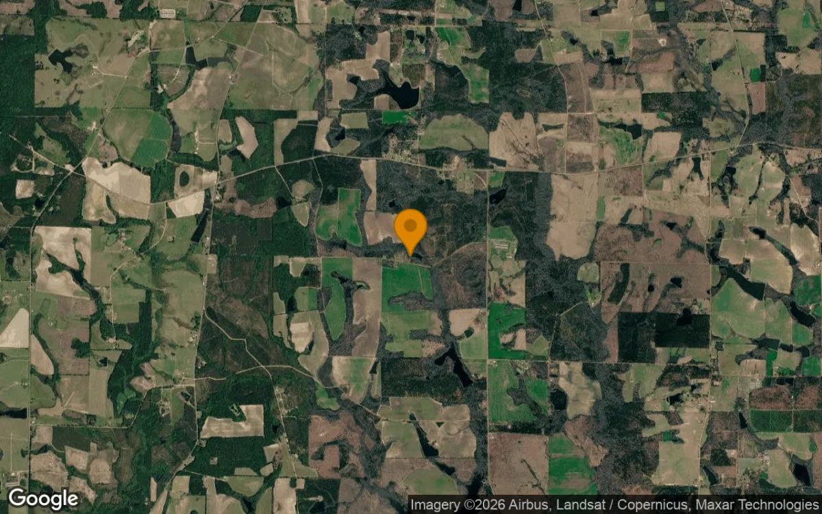 0.33 Acres in Ambrose - Coffee County, GA - Image 3